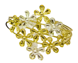 Combine (Ear Ring, Ring, Necklace, Jewelry bracelet)